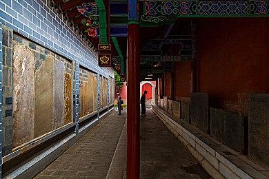 《城市：天际线2》新补丁发布 优化性能减少崩溃