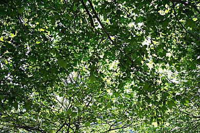 《死亡回归》将更新DLSS 3支持 可提升光追帧数